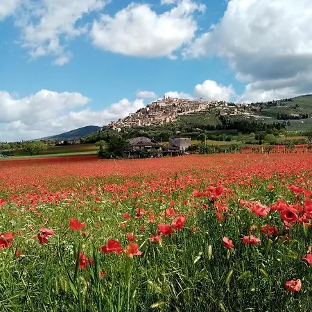 Appartamento La Casetta *