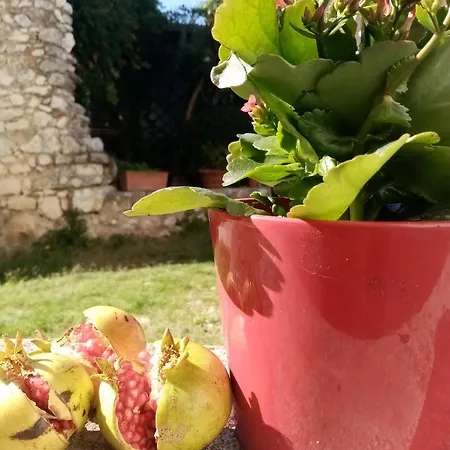La Casetta