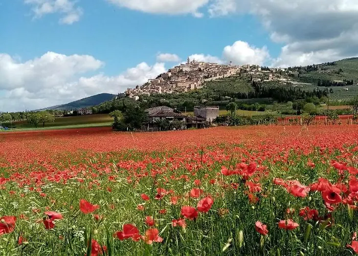 Apartment La Casetta *
